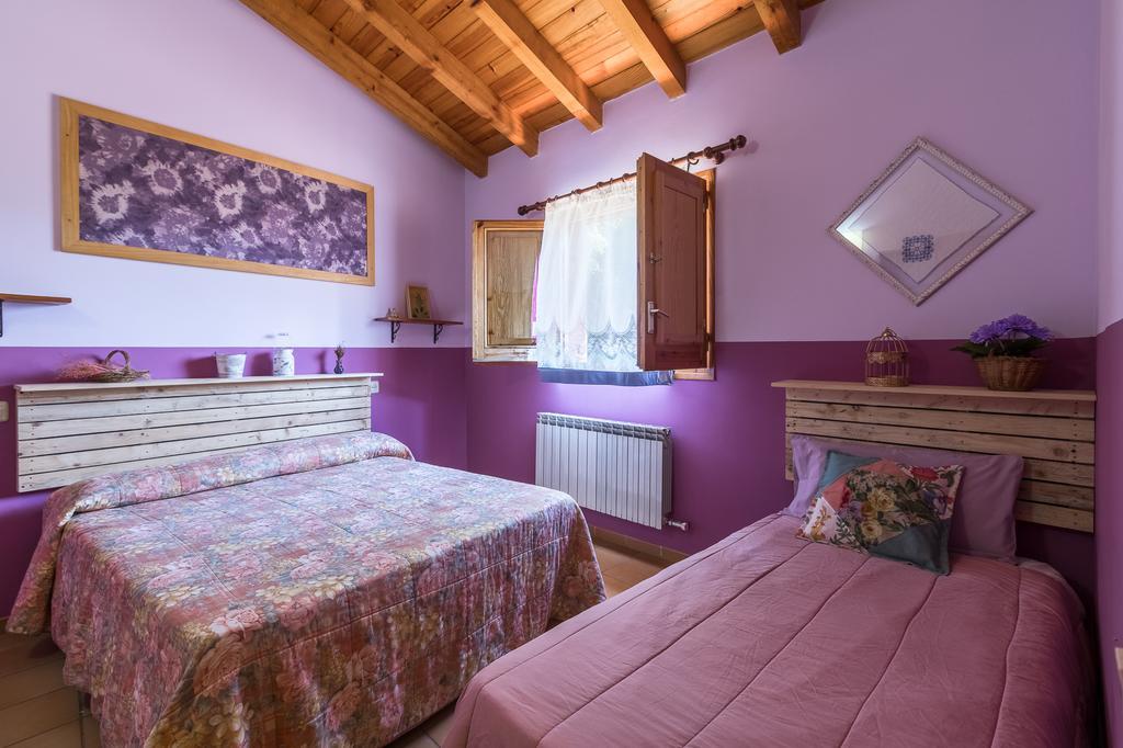 Can Sola La Vall De Bianya Sant Pere Despuig ภายนอก รูปภาพ